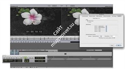 Avid Video Satellite LE Option - фото 54780