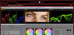 Cantemo Avid Media Composer integration 10 user licenses - фото 55598