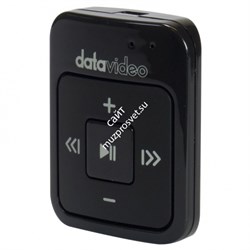 Datavideo FS-100 - фото 55668