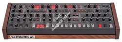 Dave Smith Prophet-6 Module - фото 55725
