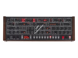 Dave Smith Prophet-6 Module - фото 55727