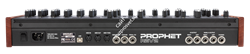 Dave Smith Prophet Rev2 - 8 Voice Module - фото 55748