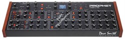 Dave Smith Prophet Rev2 - 8 Voice Module - фото 55753