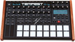 Dave Smith Tempest - фото 55754