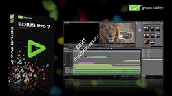 Grass Valley EDIUS Pro 7 license (download) - фото 55883
