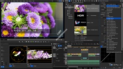 Grass Valley EDIUS Pro 9 Jump Upgrade from EDIUS 2-7, EDIUS EDU and EDIUS Neo (serial) - фото 55921