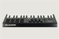 M-Audio Axiom AIR MINI 32 - фото 56551