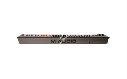 M-Audio Oxygen 61 Mk IV - фото 56670