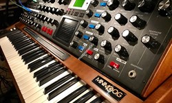 Moog Minimoog Voyager XL - фото 56802
