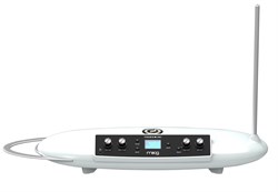 Moog Theremini - фото 56861