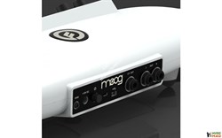 Moog Theremini - фото 56862