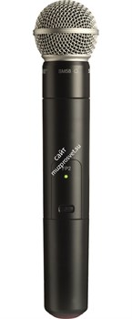SHURE GLXD2/SM58 Z2 2.4 GHz ручной передатчик для цифровых радиосистем с капсюлем динамического микрофона SM58 - фото 58329