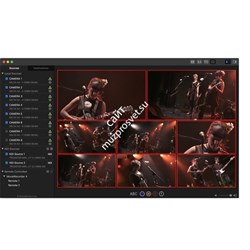 Softron MovieRecorder Express 4 - фото 58864