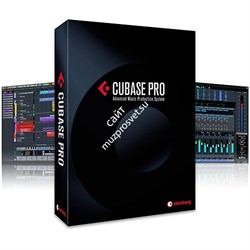 Steinberg Cubase Pro - фото 60259