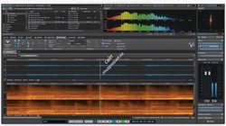 Steinberg WaveLab Pro - фото 60357