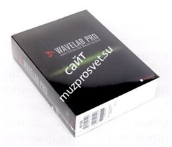 Steinberg WaveLab Pro - фото 60359
