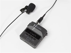 Tascam DR-10CS - фото 60778