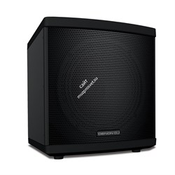 DN-AXIS12 / Активная 2-полосная коаксиальная акустическая система, 12", 1000Вт / DENON - фото 60917