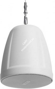 AD-P.SAT-WH / 2.5" сателлит, 16?, покрытие 150°, кабель и крепеж для подвеса, белый / QSC - фото 60983