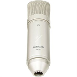Tascam TM-80 - фото 61123