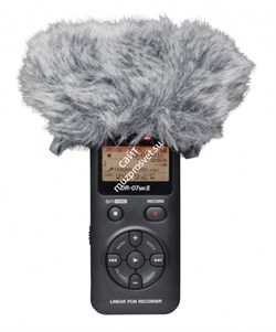 Tascam WS-11 - фото 61214