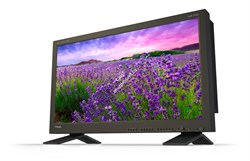 31" DCI 4K (4,096 x 2,160) 350nit LCD Monitor Input : 2x12G-SDI, 2x3G-SDI, HDMI 2.0 FULL SCREEN FHD Single Mode Display - фото 61379