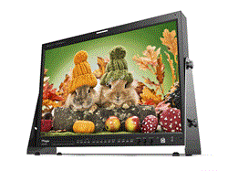 TVLOGIC LVM-246W - фото 61465