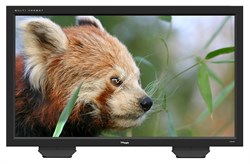 Монитор 46" 3G LCD Monitor (W/LED Backlight,Gennum VXP & Lattice), Audio Disembeder, HDMI input, Waveform/Vector scope - фото 61474