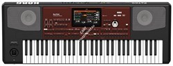 KORG PA700 профессиональная аранжировочная станция, 61 клавиша. - фото 62909