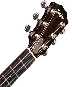 TAYLOR 524ce 500 Series, гитара электроакустическая, форма корпуса Grand Auditorium, кейс - фото 64574
