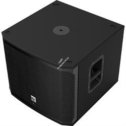 Electro-Voice EKX-15SP активный сабвуфер, 15', макс. SPL (пик) - 133 дБ, 1300W, с DSP - фото 66390