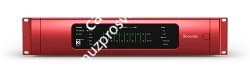 FOCUSRITE RedNet 3 ЦАП конвертор (24/192, 32 цифровых входов/выходов, интерфейс Dante) AES, Spdiff, ADAT - фото 67330