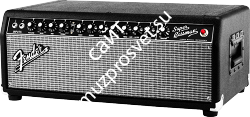 FENDER SUPER BASSMAN® 300W HEAD ламповый басовый усилитель 300Вт - фото 69736
