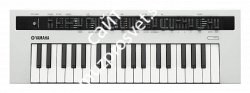 YAMAHA REFACE CS Синтезатор аналогового моделирования, 37 мини клавиш, полифония 8 голосов, 5 типов осциллятора - фото 71325