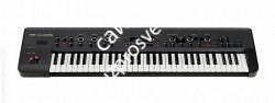KORG KINGKORG-BK аналогово моделирующий синтезатор - фото 72590