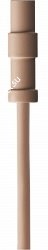 AKG LC82 MD beige миниатюрный всенаправленный петличный микрофон, цвет бежевый. - фото 82318