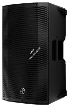 MACKIE Thump12BST активная 2-полосная акустическая система, 1300 Ватт (класс D), 12', беспроводное управление и передача аудио - фото 82823