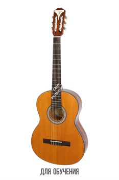 EPIPHONE PRO-1 Classic классическая акустическая гитара, цвет натуральный - фото 84656