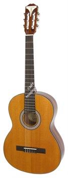 EPIPHONE PRO-1 Classic классическая акустическая гитара, цвет натуральный - фото 84657