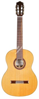 CORDOBA IBERIA F7 Paco Flamenco, классическая гитара в стиле фламенко, топ - канадский кедр, дека - палисандр - фото 86117