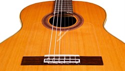 CORDOBA IBERIA F7 Paco Flamenco, классическая гитара в стиле фламенко, топ - канадский кедр, дека - палисандр - фото 86118