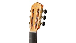 CORDOBA LUTHIER GK Pro, классическая гитара, топ - ель, дека - кипарис, тембр блок - Fishman, жесткий влагозащитный кейс - фото 86157