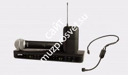 SHURE BLX1288E/P31 M17 662-686 MHz двухканальная радиосистема с ручным передатчиком PG58 и гарнитурой PGA31 - фото 87013