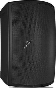 Tannoy AMS 8DC акустическая система, чёрная, 8"/1", 180Вт, 16Ом. Трансформатор 70В/100В - 60Вт, 30Вт, 15Вт, 7.5Вт, Частотный диапазон 65Гц - 30кГц -3дБ, крепление Yoke в комплекте, Вес 7,9кг, IP65 - фото 9377