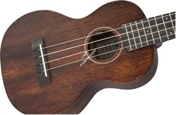 GRETSCH G9110-L CNCRT LN UKE AE W/GB Укулеле концерт, длинный гриф, с чехлом, цвет натуральный - фото 95931