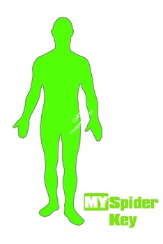 Movie Yeah MY Spider Key - фото 98273