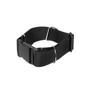 Rigerd Stand's Belt