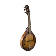 Washburn M106SWK - мандолина
