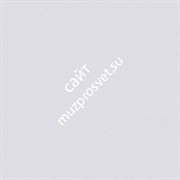 Фон бумажный Falcon Eyes BackDrop 2.72x10 светло-серый (42), шт