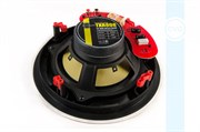 CVGaudio TXR808
